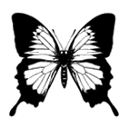Click here to access Hesperioidea, Papilionoidea